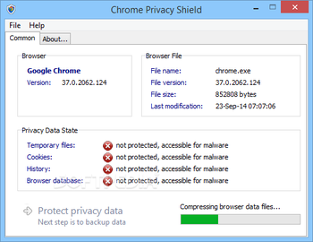 Chrome Privacy Shield screenshot