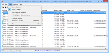 ChromeCacheView screenshot 2