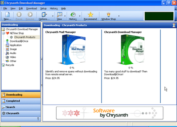 Chrysanth Download Manager screenshot 2