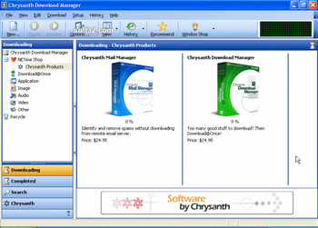 Chrysanth Download Manager screenshot 3