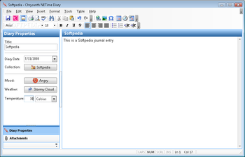 Chrysanth NETime Diary screenshot 2