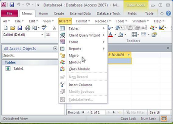 Classic Menu for Access 2010 screenshot 3