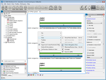CLC DNA Workbench screenshot