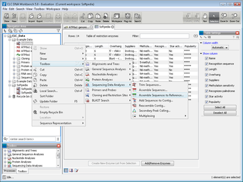 CLC DNA Workbench screenshot 2