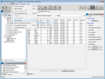 CLC DNA Workbench screenshot 3