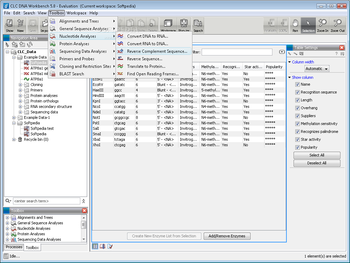 CLC DNA Workbench screenshot 4