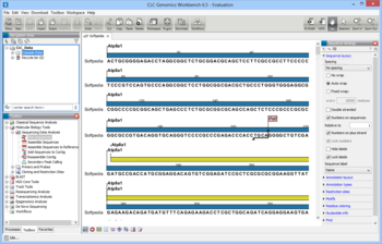 CLC Genomics Workbench screenshot