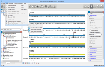 CLC Genomics Workbench screenshot 4