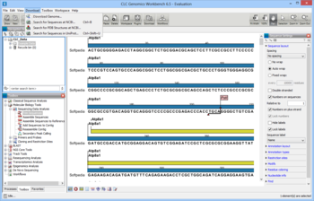 CLC Genomics Workbench screenshot 5