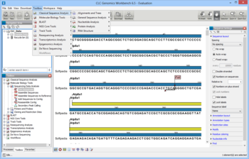 CLC Genomics Workbench screenshot 6