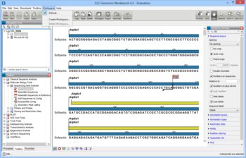 CLC Genomics Workbench screenshot 7