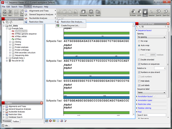 CLC Sequence Viewer screenshot 7
