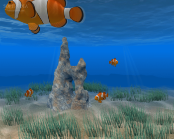 Clown Fish ScreenSaver screenshot