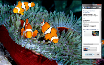 Clownfishes screenshot