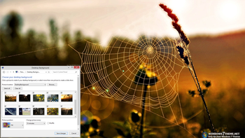 Cobweb Windows 7 Theme screenshot
