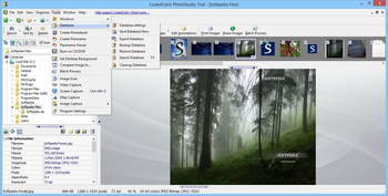 CodedColor PhotoStudio screenshot 8