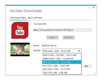 Codzz Youtube Downloader screenshot