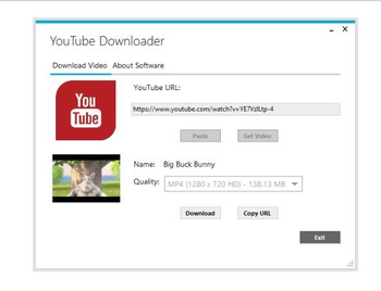 Codzz Youtube Downloader screenshot 6