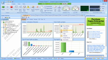 Colasoft Capsa Enterprise screenshot 2