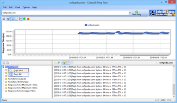 Colasoft Capsa Enterprise screenshot 25
