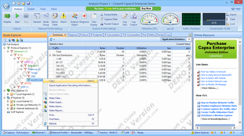 Colasoft Capsa Enterprise screenshot 3