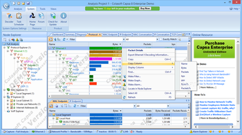 Colasoft Capsa Enterprise screenshot 4