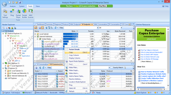 Colasoft Capsa Enterprise screenshot 5