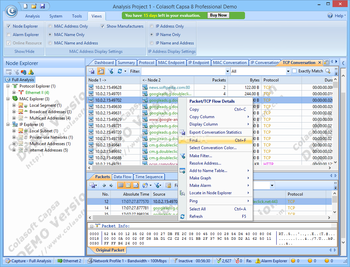 Colasoft Capsa Professional screenshot 10