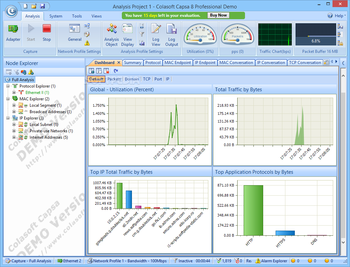 Colasoft Capsa Professional screenshot 2