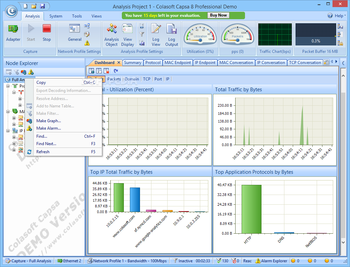 Colasoft Capsa Professional screenshot 3