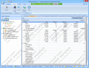 Colasoft Capsa Professional screenshot 4