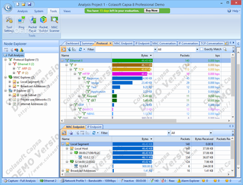 Colasoft Capsa Professional screenshot 5