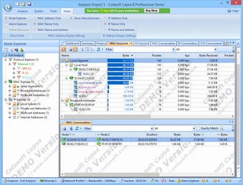 Colasoft Capsa Professional screenshot 6