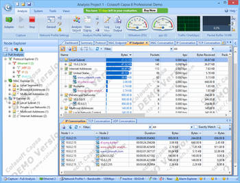 Colasoft Capsa Professional screenshot 7