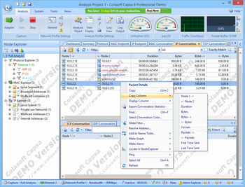 Colasoft Capsa Professional screenshot 9