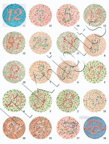 Color Blindness Test Plates screenshot