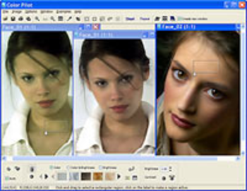 Color Pilot screenshot 3