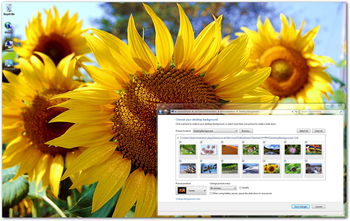 Colors of India Windows 7 Theme screenshot
