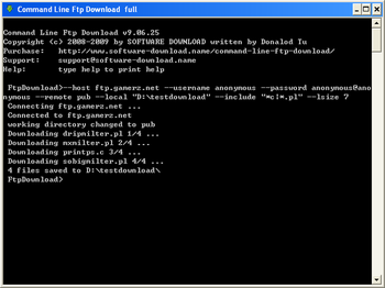 Command Line Ftp Download screenshot