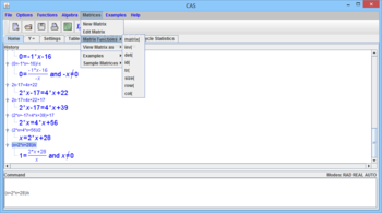 Computer Algebra System (CAS) screenshot 10