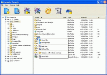 Computer Security screenshot