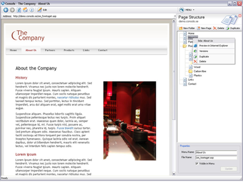 Consolo screenshot 2