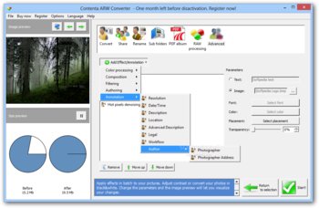 Contenta ARW Converter screenshot 13