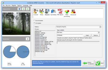 Contenta ARW Converter screenshot 4