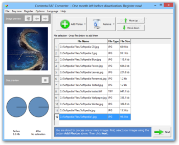 Contenta RAF Converter screenshot