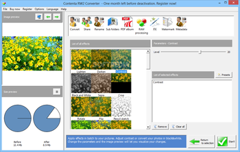 Contenta RW2 Converter screenshot 9