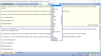 Convert .NET screenshot 2