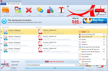 Convert to PDF screenshot 2
