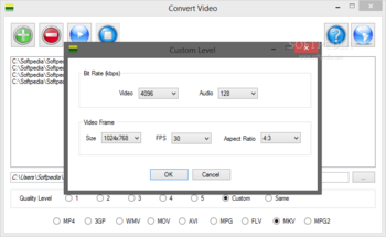 Convert Video screenshot 2