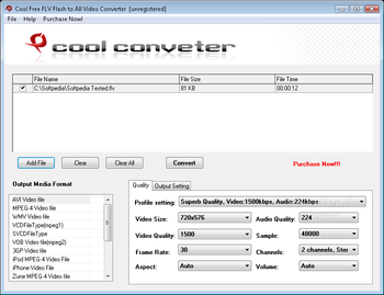 Cool Free FLV Flash to All Video Converter screenshot